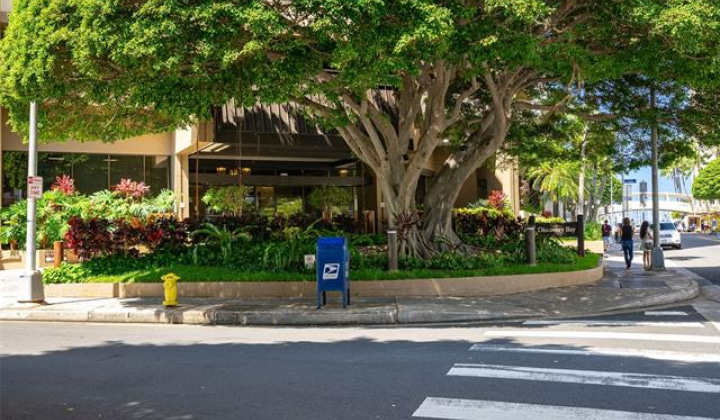 1778 Ala Moana Boulevard,Honolulu,Hawaii,96815,1 ベッドルーム ベッドルーム,1 バスルームバスルーム,コンド / タウンハウス,Ala Moana,12,19477823