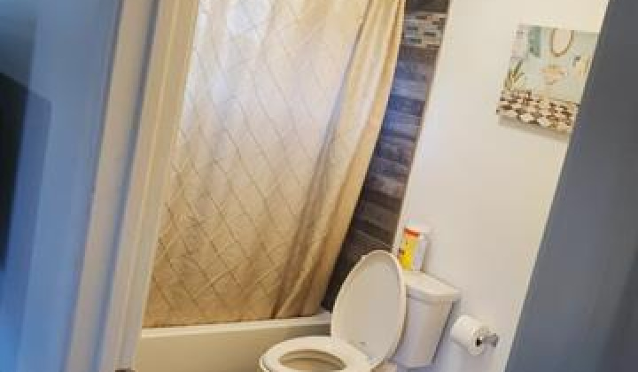 3214 Esther Street,Honolulu,Hawaii,96815,8 Bedrooms Bedrooms,7 BathroomsBathrooms,Single family,Esther,18320403