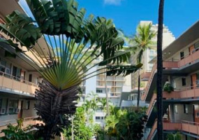 417 Nohonani Street,Honolulu,Hawaii,96815,1 ベッドルーム ベッドルーム,1 バスルームバスルーム,コンド / タウンハウス,Nohonani,3,18772898