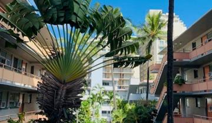 417 Nohonani Street,Honolulu,Hawaii,96815,1 ベッドルーム ベッドルーム,1 バスルームバスルーム,コンド / タウンハウス,Nohonani,3,18772898