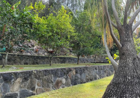 1556 Moani Street,Honolulu,Hawaii,96819,3 ベッドルーム ベッドルーム,1 バスルームバスルーム,一戸建て,Moani,18322256