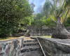 1556 Moani Street,Honolulu,Hawaii,96819,3 ベッドルーム ベッドルーム,1 バスルームバスルーム,一戸建て,Moani,18322256