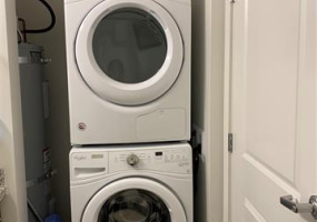 988 Halekauwila Street,Honolulu,Hawaii,96814,2 ベッドルーム ベッドルーム,2 バスルームバスルーム,コンド / タウンハウス,Halekauwila,41,18322543