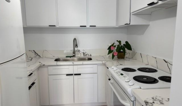303 Liliuokalani Avenue,Honolulu,Hawaii,96815,2 ベッドルーム ベッドルーム,1 バスルームバスルーム,コンド / タウンハウス,Liliuokalani,6,18774258