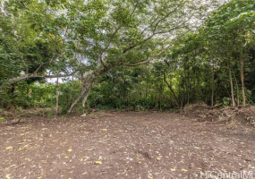 47-324 Mapumapu Road,Kaneohe,Hawaii,96744,3 ベッドルーム ベッドルーム,1 バスルームバスルーム,一戸建て,Mapumapu,18323327