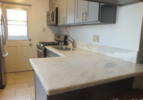 828 Puuhale Road,Honolulu,Hawaii,96819,2 Bedrooms Bedrooms,1 BathroomBathrooms,Condo/Townhouse,Puuhale,2,18325928