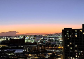 1212 Nuuanu Avenue,Honolulu,Hawaii,96817,2 ベッドルーム ベッドルーム,2 バスルームバスルーム,コンド / タウンハウス,Nuuanu,21,18327067