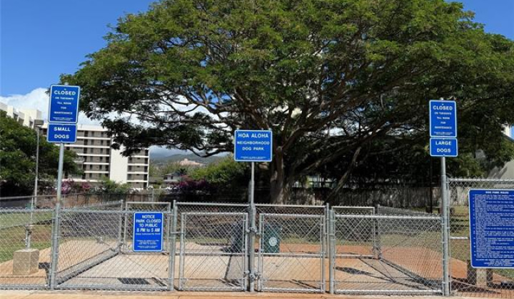 909 Ala Nanala Street,Honolulu,Hawaii,96818,1 Bedroom Bedrooms,1 BathroomBathrooms,Condo/Townhouse,Ala Nanala,18,18328344