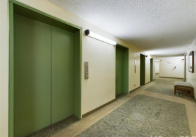 229 Paoakalani Avenue,Honolulu,Hawaii,96815,1 ベッドルーム ベッドルーム,1 バスルームバスルーム,コンド / タウンハウス,Paoakalani,36,18328570