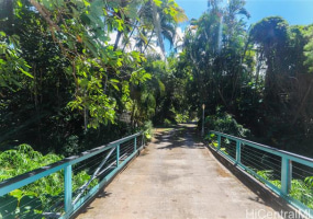 3702 Old Pali Road,Honolulu,Hawaii,96817,7 Bedrooms Bedrooms,5 BathroomsBathrooms,Single family,Old Pali,18928768