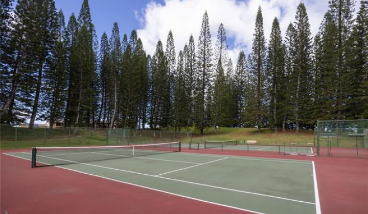 2895 Kalakaua Avenue,Honolulu,Hawaii,96815,1 バスルームバスルーム,コンド / タウンハウス,Kalakaua,5,17898943