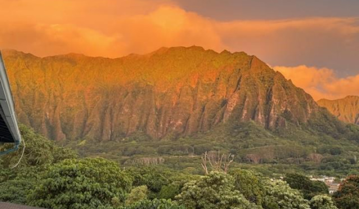 45-545 Ualani Place,Kaneohe,Hawaii,96744,4 Bedrooms Bedrooms,3 BathroomsBathrooms,Single family,Ualani,19502434