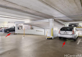 1212 Punahou Street,Honolulu,Hawaii,96826,2 ベッドルーム ベッドルーム,2 バスルームバスルーム,コンド / タウンハウス,Punahou,12,18341147