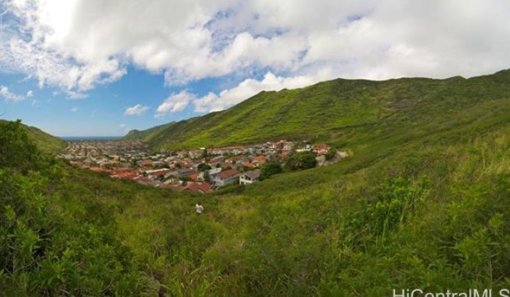 1492 Honokahua Street,Honolulu,Hawaii,96825,3 Bedrooms Bedrooms,2 BathroomsBathrooms,Single family,Honokahua,18342921
