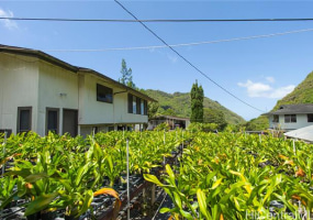 2630 Waiomao Road,Honolulu,Hawaii,96816,10 ベッドルーム ベッドルーム,6 バスルームバスルーム,一戸建て,Waiomao,18344507