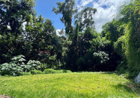 2318 Waiomao Road,Honolulu,Hawaii,96816,3 ベッドルーム ベッドルーム,2 バスルームバスルーム,一戸建て,Waiomao,18797107
