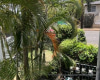 1720 Poki Street,Honolulu,Hawaii,96822,1 ベッドルーム ベッドルーム,1 バスルームバスルーム,コンド / タウンハウス,Poki,2,18798299