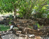3812 Anuhea Street,Honolulu,Hawaii,96816,5 ベッドルーム ベッドルーム,3 バスルームバスルーム,一戸建て,Anuhea,18799586