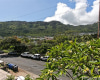 2233 Waiomao Road,Honolulu,Hawaii,96816,4 ベッドルーム ベッドルーム,2 バスルームバスルーム,一戸建て,Waiomao,18799791