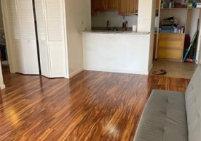 1610 Kanunu Street,Honolulu,Hawaii,96814,2 ベッドルーム ベッドルーム,1 バスルームバスルーム,コンド / タウンハウス,Kanunu,11,18349108