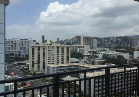 1610 Kanunu Street,Honolulu,Hawaii,96814,2 ベッドルーム ベッドルーム,1 バスルームバスルーム,コンド / タウンハウス,Kanunu,11,18349108