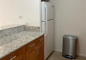 1610 Kanunu Street,Honolulu,Hawaii,96814,2 ベッドルーム ベッドルーム,1 バスルームバスルーム,コンド / タウンハウス,Kanunu,11,18349108