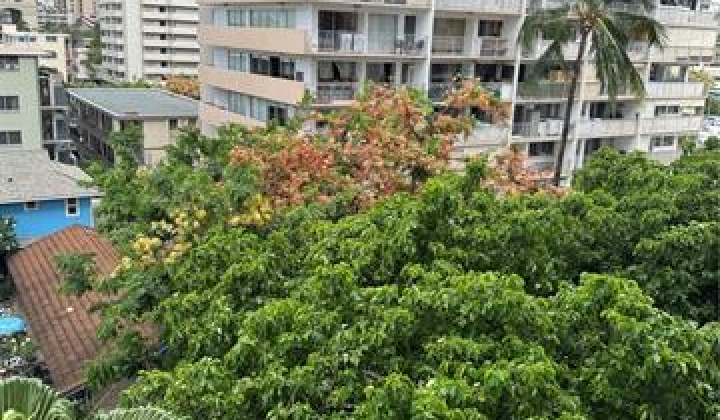 430 Keoniana Street,Honolulu,Hawaii,96816,1 ベッドルーム ベッドルーム,1 バスルームバスルーム,コンド / タウンハウス,Keoniana,1,19511975