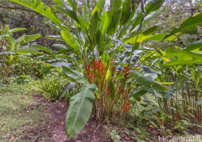 3224 Pelekane Drive,Honolulu,Hawaii,96817,Single family,Pelekane,18360895