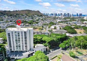 2029 Nuuanu Avenue,Honolulu,Hawaii,96817,1 ベッドルーム ベッドルーム,1 バスルームバスルーム,コンド / タウンハウス,Nuuanu,16,18803095