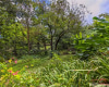 3224 Pelekane Drive,Honolulu,Hawaii,96817,Single family,Pelekane,18360895