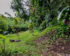 3224 Pelekane Drive,Honolulu,Hawaii,96817,Single family,Pelekane,18360895