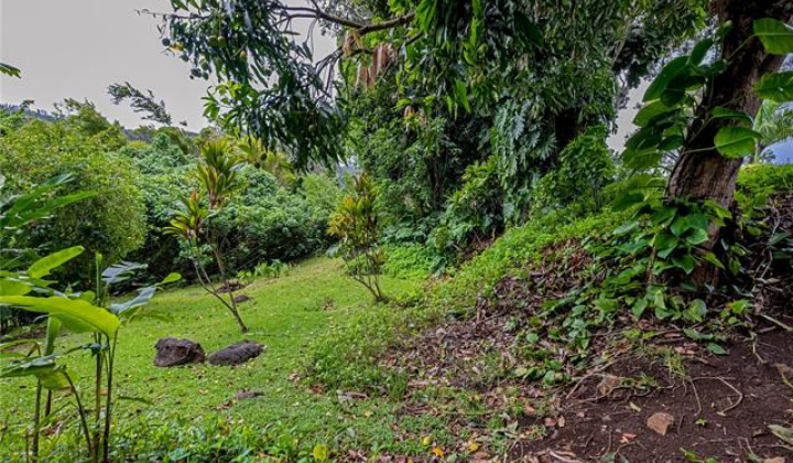 3224 Pelekane Drive,Honolulu,Hawaii,96817,Single family,Pelekane,18360895