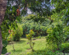 3224 Pelekane Drive,Honolulu,Hawaii,96817,Single family,Pelekane,18360895