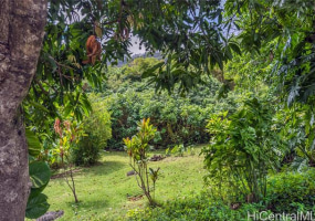 3224 Pelekane Drive,Honolulu,Hawaii,96817,Single family,Pelekane,18360895