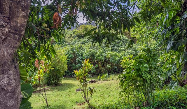 3224 Pelekane Drive,Honolulu,Hawaii,96817,Single family,Pelekane,18360895