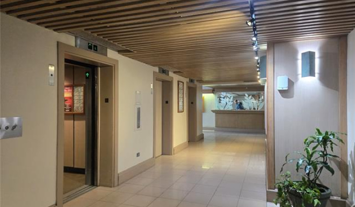 229 PAOAKALANI Avenue,Honolulu,Hawaii,96815,1 ベッドルーム ベッドルーム,1 バスルームバスルーム,コンド / タウンハウス,PAOAKALANI,18,19513057
