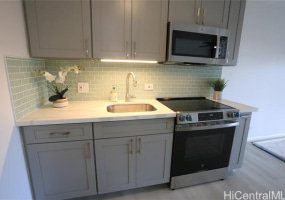 1511 Nuuanu Avenue,Honolulu,Hawaii,96817,1 バスルームバスルーム,コンド / タウンハウス,Nuuanu,11,18362078