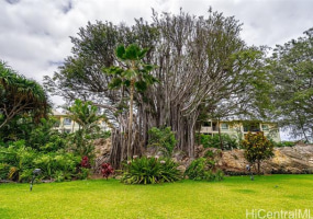 322 Aoloa Street,Kailua,Hawaii,96734,1 ベッドルーム ベッドルーム,1 バスルームバスルーム,コンド / タウンハウス,Aoloa,17,18362534