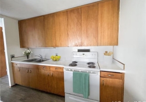 1511 Nuuanu Avenue,Honolulu,Hawaii,96817,1 ベッドルーム ベッドルーム,1 バスルームバスルーム,コンド / タウンハウス,Nuuanu,9,18367313