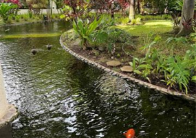 300 Wai Nani Way,Honolulu,Hawaii,96815,1 ベッドルーム ベッドルーム,1 バスルームバスルーム,コンド / タウンハウス,Wai Nani,15,18368763