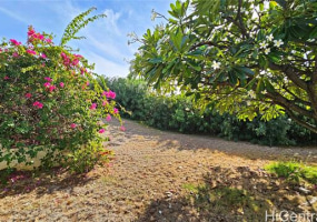 104 Waialeale Street,Honolulu,Hawaii,96825,3 Bedrooms Bedrooms,2 BathroomsBathrooms,Single family,Waialeale,18371243