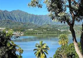 46-050 Konane Place,Kaneohe,Hawaii,96744,2 ベッドルーム ベッドルーム,1 バスルームバスルーム,コンド / タウンハウス,Konane,2,18376198