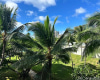 2161 Kalia Road,Honolulu,Hawaii,96815,1 Bedroom Bedrooms,1 BathroomBathrooms,Condo/Townhouse,Kalia,4,18376386