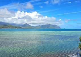 47-91 Kamehameha Highway,Kaneohe,Hawaii,96744,2 ベッドルーム ベッドルーム,2 バスルームバスルーム,一戸建て,Kamehameha,18378924