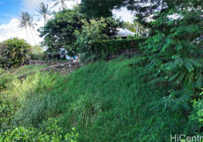47-91 Kamehameha Highway,Kaneohe,Hawaii,96744,2 ベッドルーム ベッドルーム,2 バスルームバスルーム,一戸建て,Kamehameha,18378924