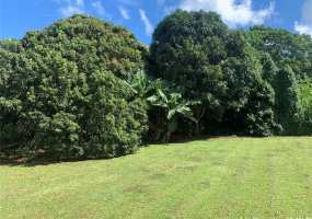 47-050 Okana Road,Kaneohe,Hawaii,96744,5 ベッドルーム ベッドルーム,2 バスルームバスルーム,一戸建て,Okana,18379741