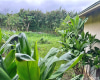 47-050 Okana Road,Kaneohe,Hawaii,96744,5 ベッドルーム ベッドルーム,2 バスルームバスルーム,一戸建て,Okana,18379741