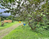 47-050 Okana Road,Kaneohe,Hawaii,96744,5 ベッドルーム ベッドルーム,2 バスルームバスルーム,一戸建て,Okana,18379741