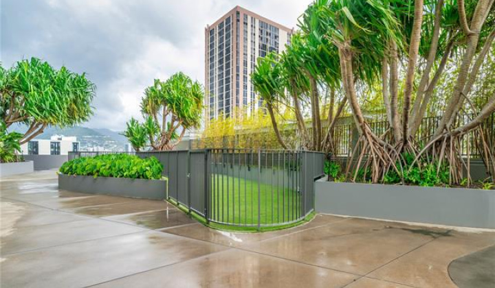 1001 Queen Street,Honolulu,Hawaii,96814,2 Bedrooms Bedrooms,2 BathroomsBathrooms,Condo/Townhouse,Queen,9,18380528