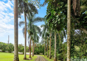 48-500 Kamehameha Highway,Kaneohe,Hawaii,96744,4 Bedrooms Bedrooms,3 BathroomsBathrooms,Single family,Kamehameha,18381630